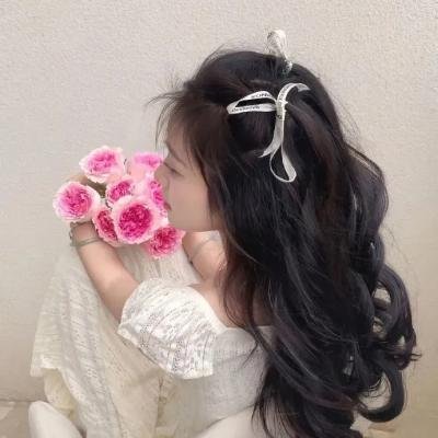 长袜子皮皮的新冒险